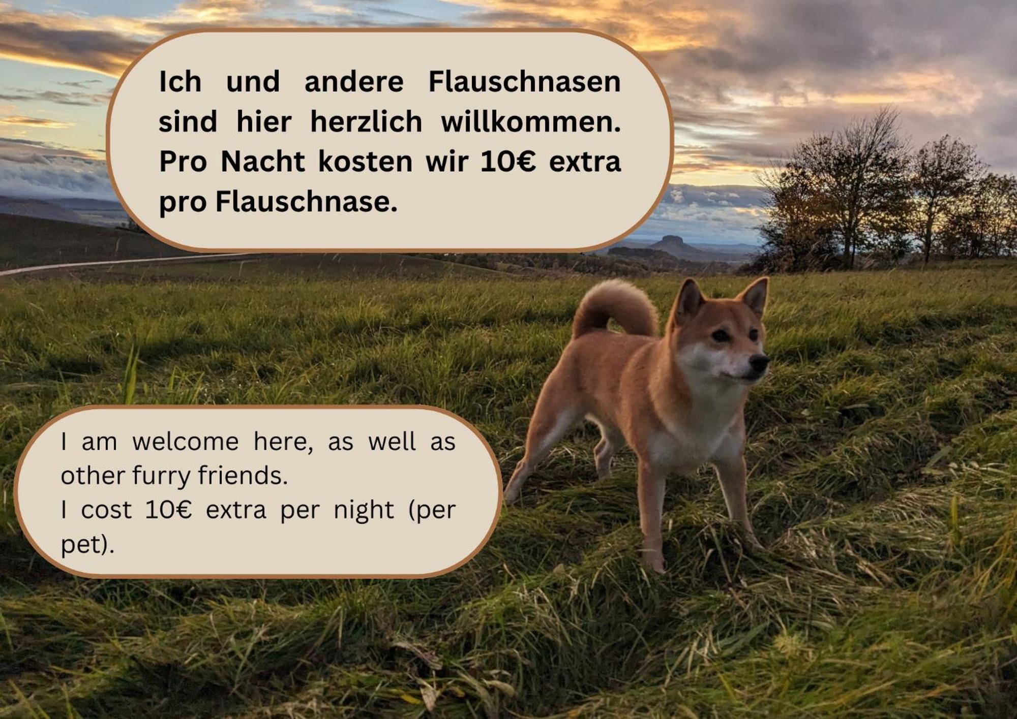 Apartmán S2 - Urlaubsmagie - Am Wanderweg Mit Terrasse Sebnitz Exteriér fotografie